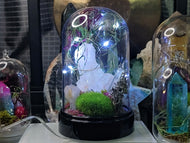 Himalayan Salt & Quartz in Led Plastic Dome